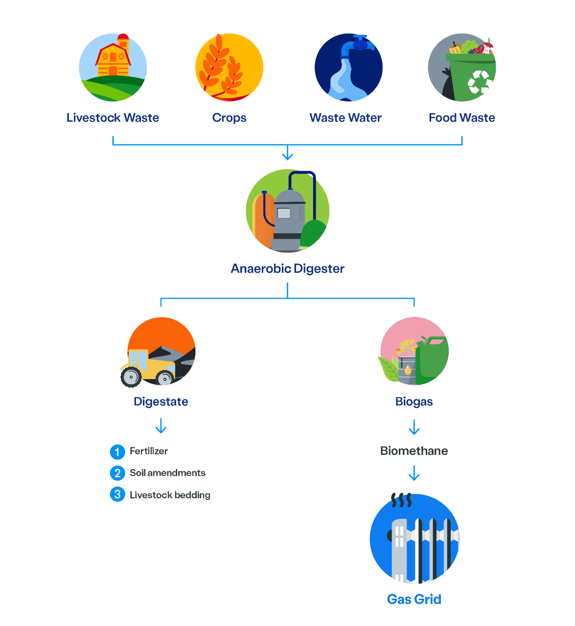 Infographic about Renewable Gas distribution 